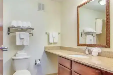 MainStay Suites Texas Medical Center/Reliant Park - 9