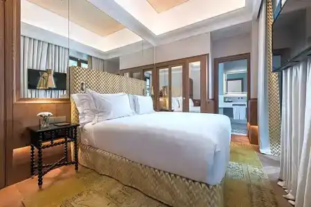 Palacio Solecio, a Small Luxury of the World - 52