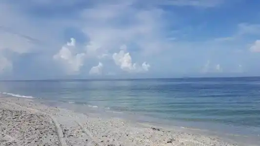 Casey Key - Gulf Shores - 49