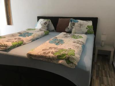 Pension Waldesruh - 47