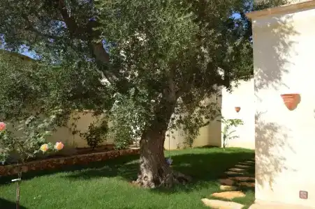Masseria Le Celline - 49