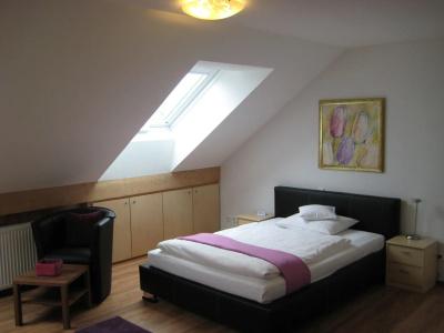Neu Heidelberg - Guesthouse & - 3