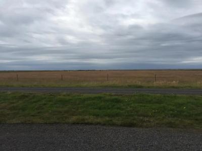 Welcome Holiday homes - 44