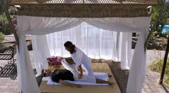 Hermitage Resort & Thermal Spa - 24