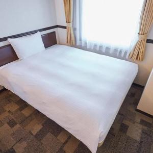 Toyoko Inn Maibara-eki Shinkansen Nishi-guchi - 31