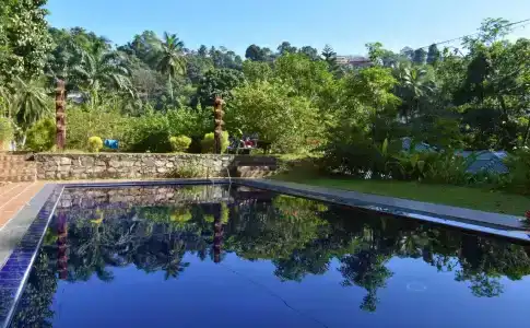 Clove Garden Kandy - 5