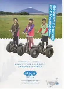 Pension Country Diary - 2