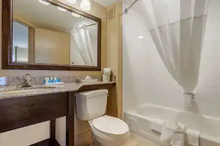 Comfort Inn 290/Nw - 7