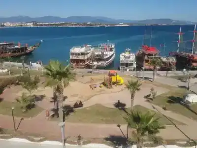 Lion Didim - 7