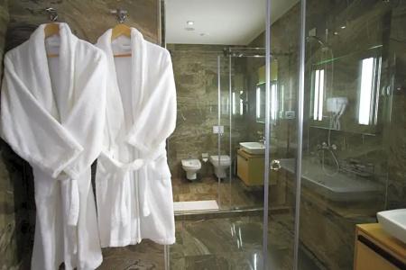 Best Western Premier Ark - 155
