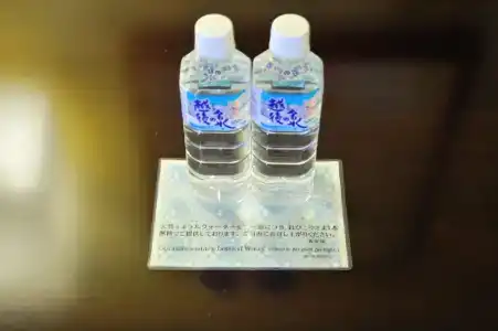 New Otani Nagaoka - 31