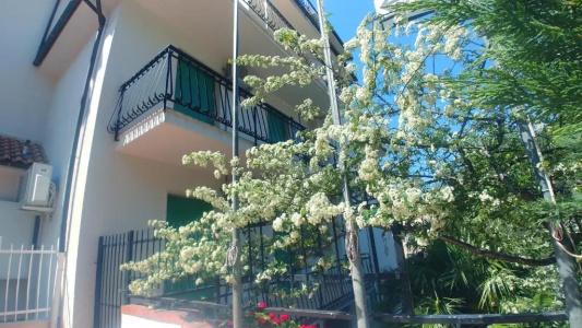 Residence Oleandro - 58