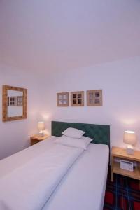 SIMPLE but EXCELLENT - 81