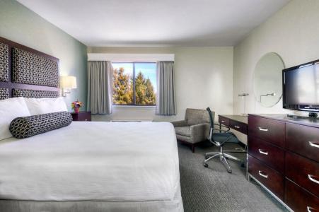 Maple Tree Inn - 24