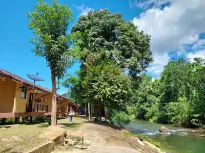 Khaosok Rainforest Resort - 142