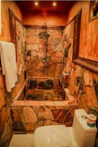 Queenswood Cottage - 44