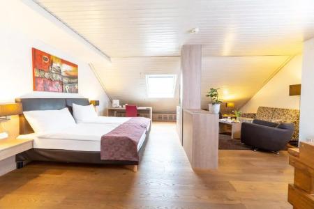 Budget Alexander - 73