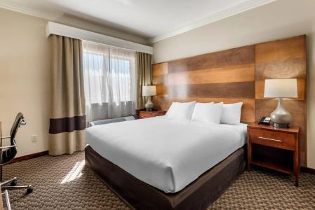 Comfort Inn & Suites - 56