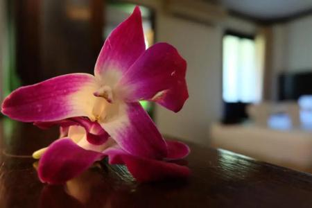 Lanta Mermaid Boutique House - 123