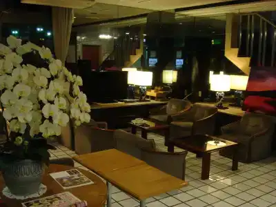 Fujinomiya Green - 22