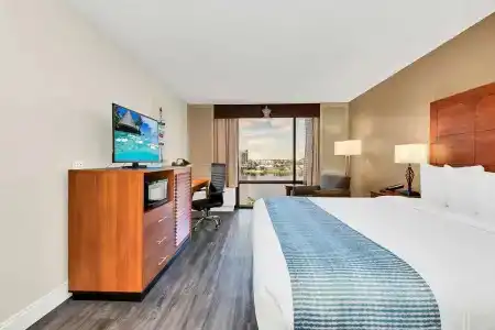 Best Western Orlando Gateway - 53