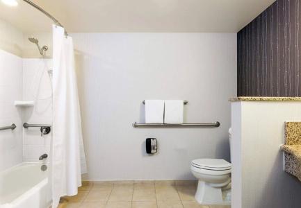 Courtyard by Marriott Houston Galleria - 9