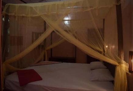 Lavish Eco Jungle - 30