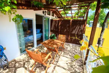 Lemon Villa - Adult Only - 22