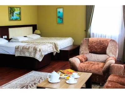 Vilesh Palace - 32