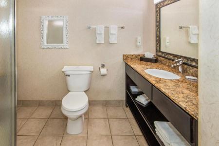 Quality Inn & Suites - 28