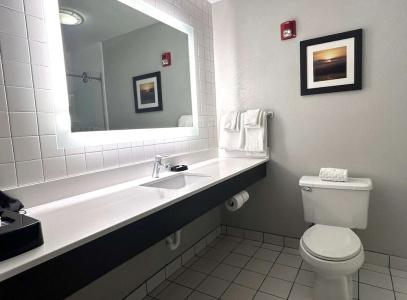 Erie Inn & Suites Solstice - 39