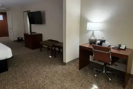 Microtel Inn & Suites by Wyndham College Station - 85