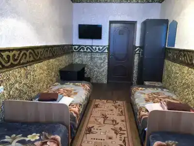 Инсар - 46