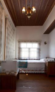 Lal Bursa - 17