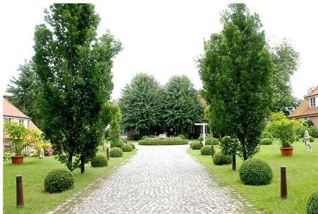 RingFriederikenhof - 19