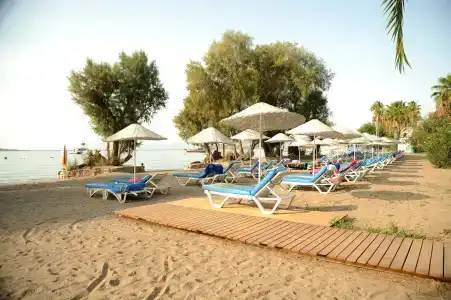 Club Muskebi - 15