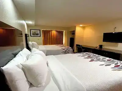 Quality Inn & Suites Fort Gordon - 39