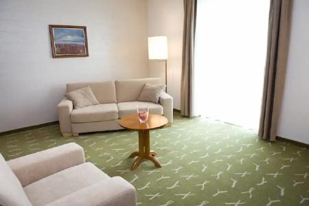 Zenit Wellness Balaton - 53
