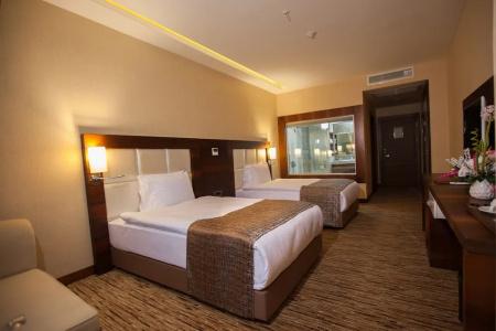Mitannia Regency - 19