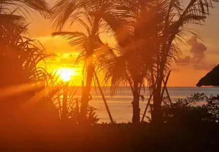 Zanzibar White Sand Luxury Villas & Spa - Relais & Chateaux - 16