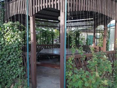 Золотой берег - 48