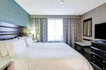 Hampton Inn & Suites by Hilton-Airport - 58