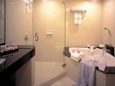 Indra Regent - 65