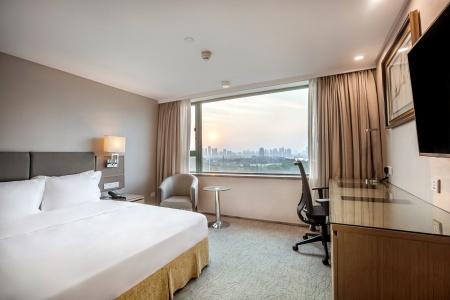 Holiday Inn Wuhan Riverside, An Ihg - 32