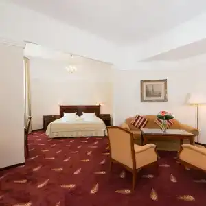 Ensana Thermia Palace - 30