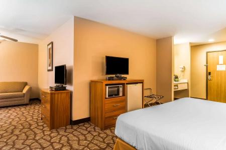Quality Inn & Suites Chesterfield Village - 2