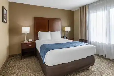 Comfort Inn & Suites Beach - 3