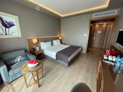 Holiday Inn Bursa - City Centre, An Ihg - 2
