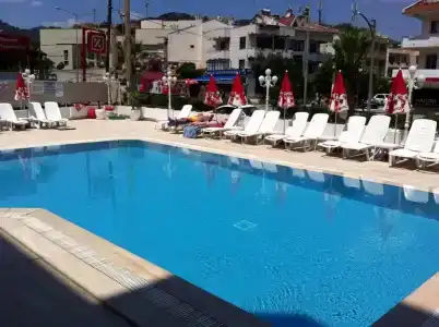 Oasis - 12