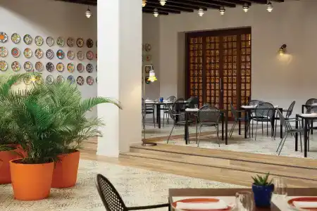 Excellence El Carmen - Adults Only All Inclusive - 28
